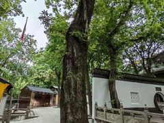 -虞山风景区