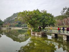 -星湖旅游景区七星岩