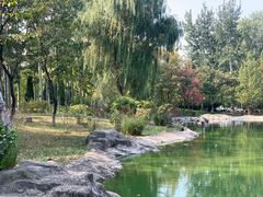 -中家鑫园温泉酒店鑫悦汤泉