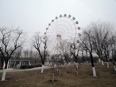 -西安浐灞国家湿地公园