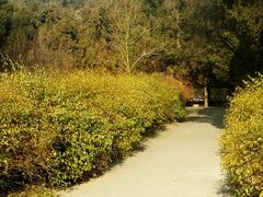android_upload_pic-景山公园