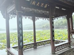 -印象西湖·最忆是杭州实景演出