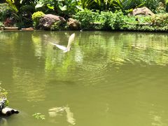 -深圳仙湖植物园-停车场