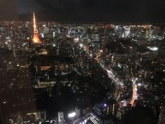 -六本木新城展望台(东京城市景观)