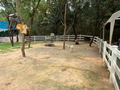 -云栖山谷露营地·团建年会·生日派对