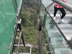 -梦幻奥陶纪景区