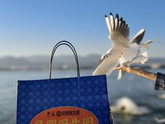 -昆明冠生园·鲜花饼·面包蛋糕(老街店)