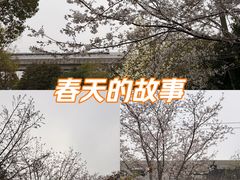 -外高桥保税区南(地铁站)