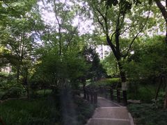 -新湖明珠城