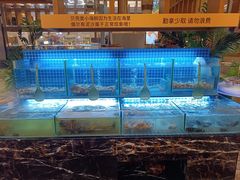 -芭菲盛宴·环球美食(袁家岗店)