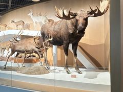 -陕西自然博物馆