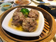 新会陈皮牛肉丸-顺德家厨(白云店)