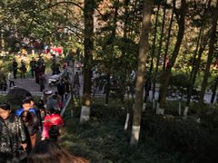 -重庆彩云湖湿地公园
