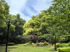 -徐家汇源景区-衡山公园