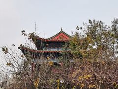 -济南国际园博园