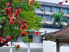 -黄埔古港