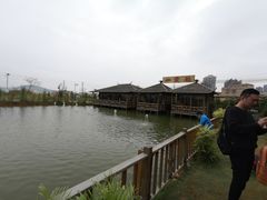 -一煲鸽
