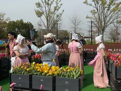 -荷兰花海