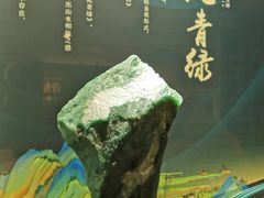 -【朵云轩艺术中心】博洛尼亚插画展·中国巡展·上海站