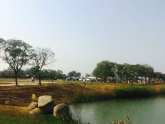 -瑶湖郊野森林公园