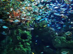 -成都浩海立方海洋公园