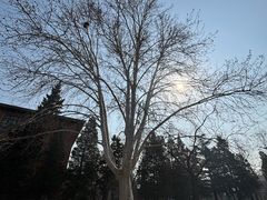 -清华大学-清芬园