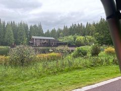 -黄海国家森林公园