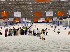 -绍兴启迪乔波冰雪世界