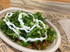 -油梨树 AVOCADO TREE(亮马桥店)