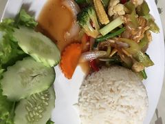 -Jungle Kitchen
