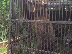 -海南热带野生动植物园