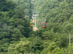 -栾川竹海野生动物园