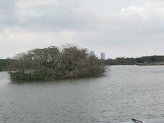 -海珠湖公园