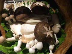 -捞王猪肚鸡火锅(财富中心店)