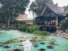 -静安公园(静安寺街道)