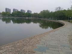 -泰丰公园