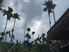 -海南槟榔谷黎苗文化旅游区