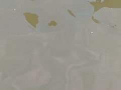 -碧海金沙
