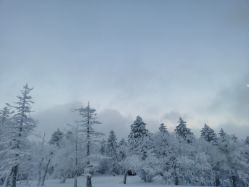 -大秃顶子山
