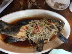 高原雪山鱼-小厨子私房菜·云南美食店