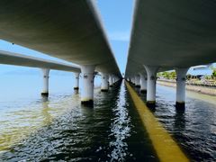 -演武大桥观景平台