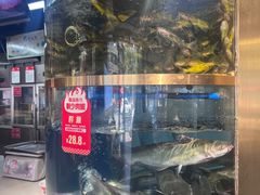 -蜀滋香鲜鱼美蛙火锅(339店)