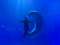 -多彩贵州城极地海洋世界