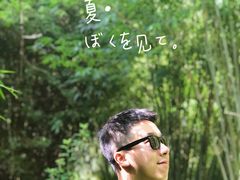 -大屏嶂森林公园