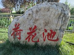 -保定东湖公园(莲池区)