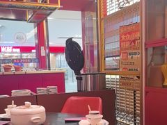 -满园烤鸭·春饼(沈北万达店)