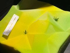 -三与叁山生日蛋糕·甜品·下午茶(北京五道口店)