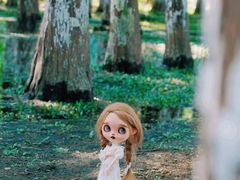 -艾溪湖湿地公园