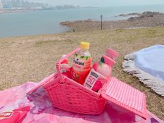 -小麦岛公园