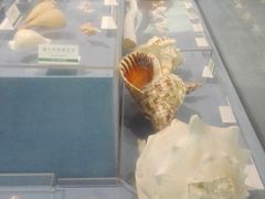 -浙江自然博物院(杭州馆)